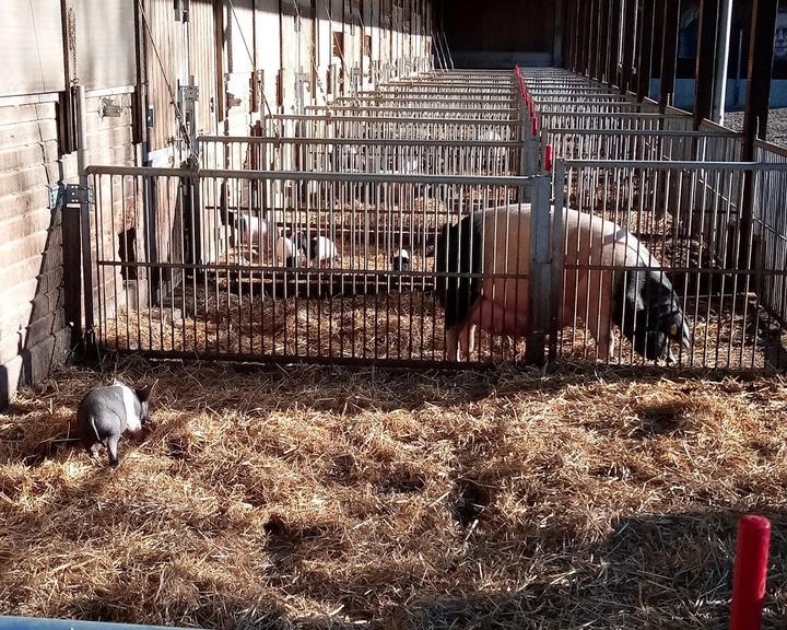 Herrmannsdorfer Landwerkstatten